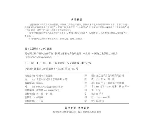配电网工程作业风险点管控 商品图3