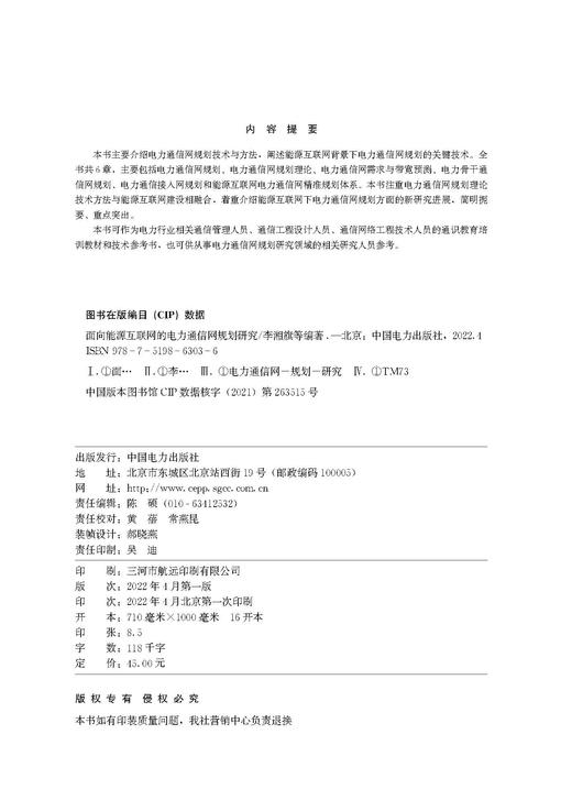 面向能源互联网的电力通信网规划研究 商品图3