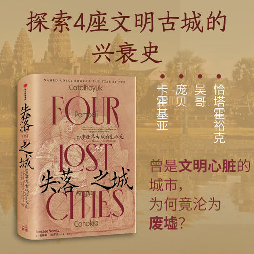 失落之城 四座世界古城的生与死 安娜丽纽伊茨 著 城市的命运就是人类的命运 历史考古探秘 中信出版 商品图1