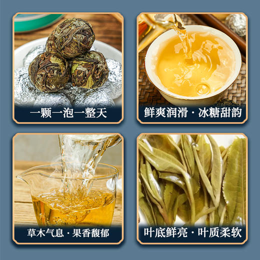 【冰岛白茶】2022年云南临沧茶区冰岛五寨罐装龙珠200g 商品图2