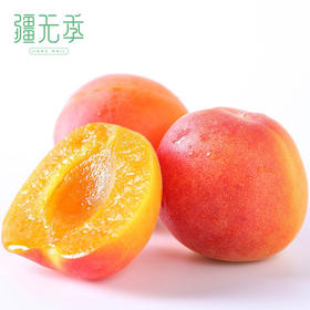 疆无季 新疆 阿克苏小红杏 甄选鲜果 丝路胭脂杏