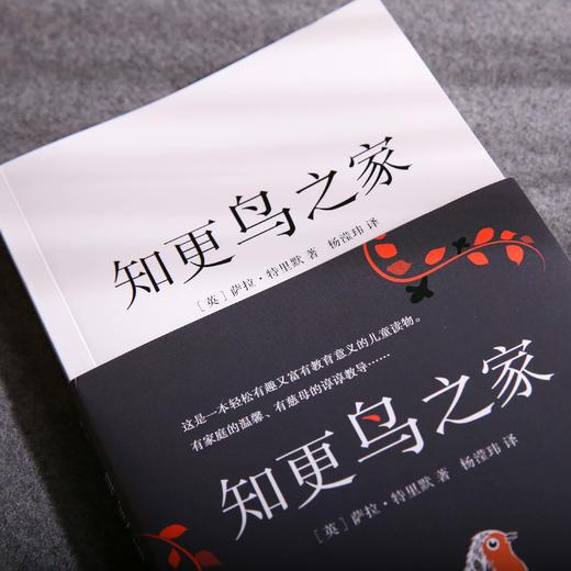 知更鸟之家（教导孩子们要尊重大自然、善待动物，学会换位思考；还告诉孩子们当遇到不同的境遇时要学会全面思考问题，明辨善恶与好坏） 商品图1