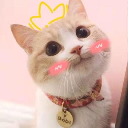 444433红酒144 商品图0