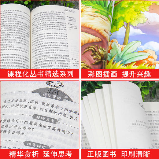 (仓发) 看看我们的地球/四年级下册阅读 快乐读书吧 儿童文学名著阅读 穿过地平线（新旧版随机发货）/民主与建设出版社/李四光/9787513926553 商品图5