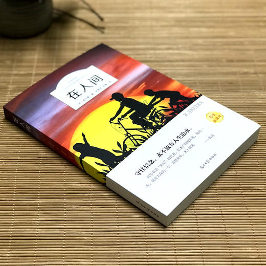 (仓发) 在人间（名家全译本）/光明日报出版社/[苏]高尔基/9787519432225 商品图1