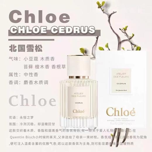 Chloe/蔻依香水 北国雪松女士香氛/木兰诗雨/大马士革玫瑰 商品图2