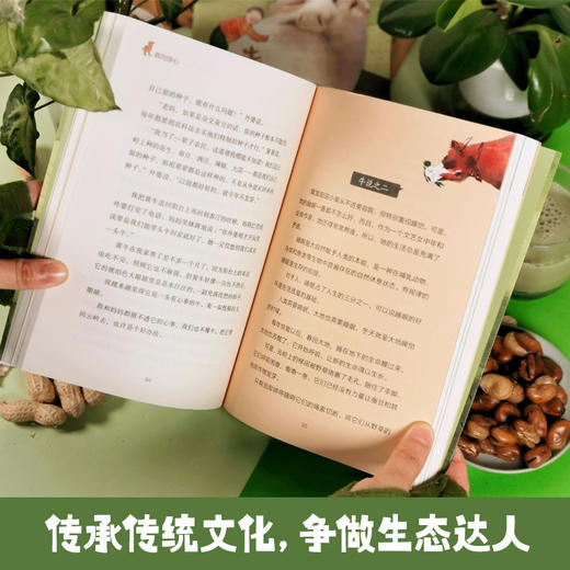 犇向绿心   3年级书目|正版现货速发|名师推荐|小学生课外阅读三年级 商品图2