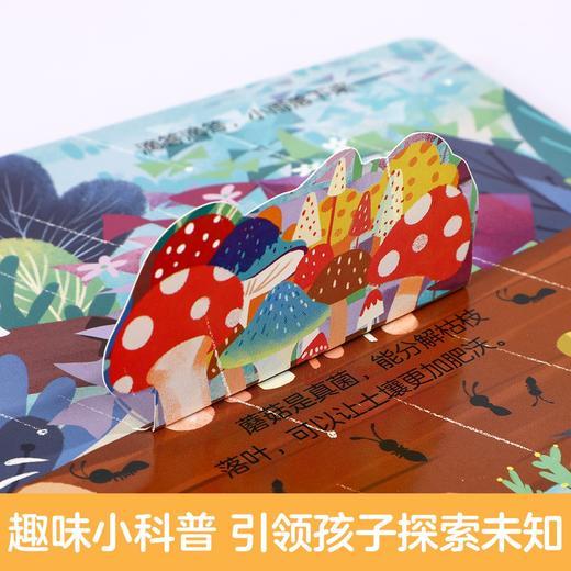 (仓发) 揭秘小世界认知篇-揭秘森林(0-2岁幼儿启蒙早教科普绘本)翻翻+洞洞设计 乐乐趣童书幼儿启蒙科普洞洞书/未来出版社/张双/9787541765339 商品图3