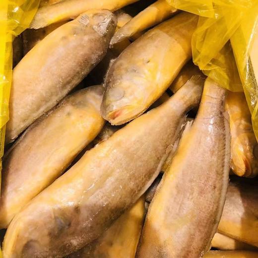 小黄鱼 1袋2斤 商品图1