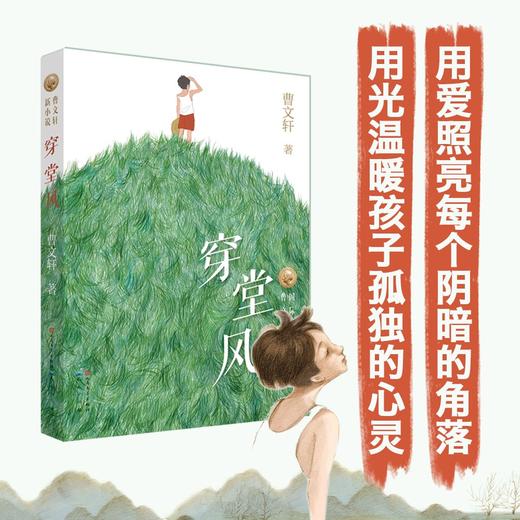 (仓发) 穿堂风（曹文轩新小说系列，国际安徒生奖得主曹文轩作品，关注普通孩子内心，守护孩子成长，经典儿童文学，8-14岁适读，2017年深圳读书月年度十/9787501612178 商品图2