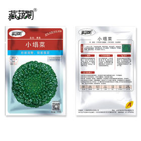 [庭院种子] 塌菜种子 