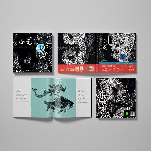 小龙   2年级书目|正版现货速发|名师推荐|小学生课外阅读2年级 商品图2