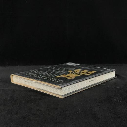 法老的宫廷与战争生活 234幅插图（172幅彩色） 精装16开 商品图2