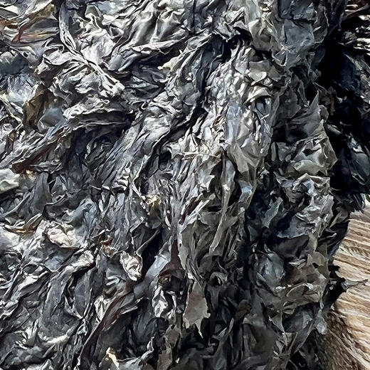 无盐无添加 野生紫菜 蛋白含量丰富 补钙补锌 |百里食 商品图0