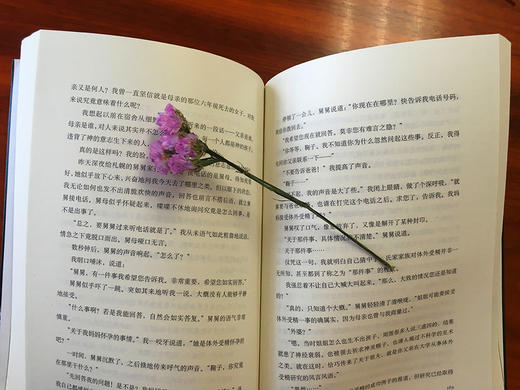 (仓发) 东野圭吾：分身/南海出版公司/[日]东野圭吾/9787544282642 商品图3