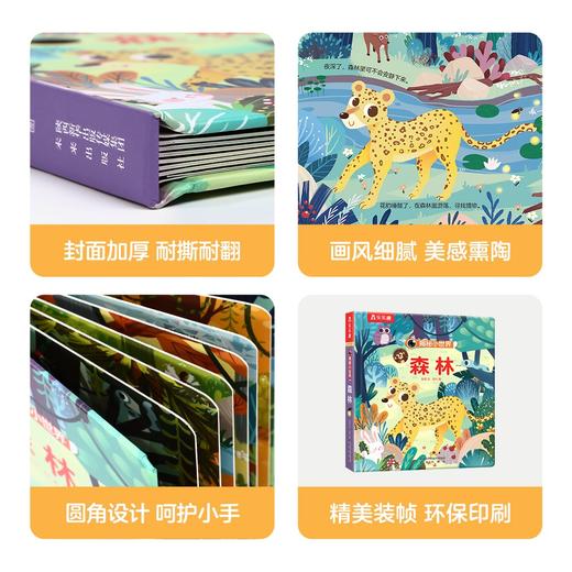 (仓发) 揭秘小世界认知篇-揭秘森林(0-2岁幼儿启蒙早教科普绘本)翻翻+洞洞设计 乐乐趣童书幼儿启蒙科普洞洞书/未来出版社/张双/9787541765339 商品图5