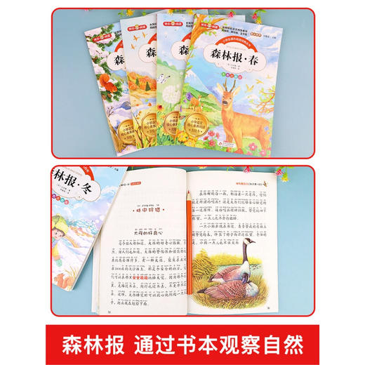 森林报春夏秋冬全四册彩图注音版故事绘本全集 小学生课外阅读书籍一二三四年级老师推荐必读经典书目儿童课外读物图书故事书 全套 商品图3