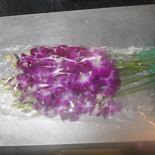 鲜兰花 /袋 商品图1
