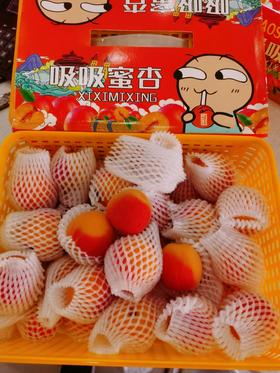 精品崂山吊干蜜杏一箱
