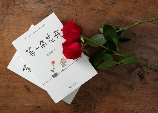 (仓发) 等一朵花开（国民漫画家小林代表作）/浙江文艺出版社/林帝浣/9787533961121 商品图5