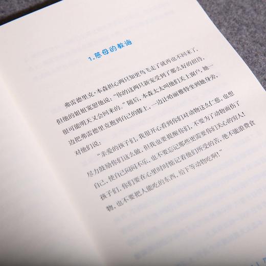 知更鸟之家（教导孩子们要尊重大自然、善待动物，学会换位思考；还告诉孩子们当遇到不同的境遇时要学会全面思考问题，明辨善恶与好坏） 商品图4
