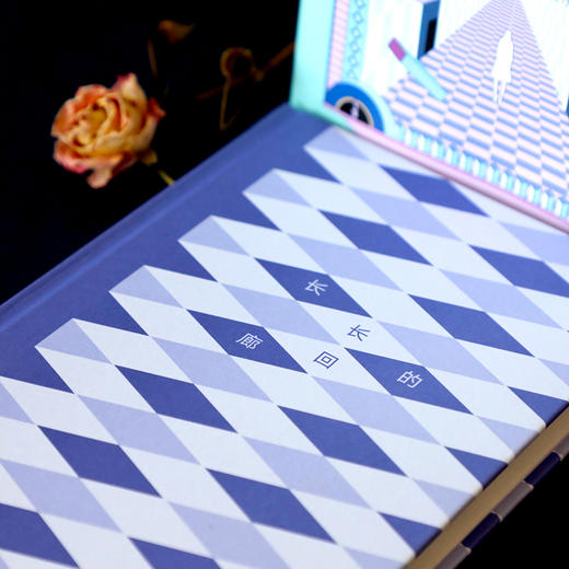 (仓发) 东野圭吾：长长的回廊 任素汐 刘敏涛主演《回廊亭》原著 大女主视角畅爽复仇长篇推理/南海出版公司/[日]东野圭吾/9787544289443 商品图6