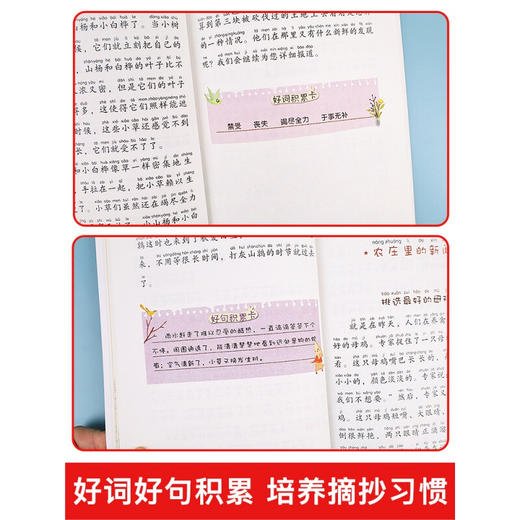 森林报春夏秋冬全四册彩图注音版故事绘本全集 小学生课外阅读书籍一二三四年级老师推荐必读经典书目儿童课外读物图书故事书 全套 商品图4