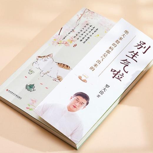 别生气啦 绝大多数的病都是气出来的 罗大伦 著 80%的病都是不良情绪导致想不开、气不顺所致 养生 商品图2