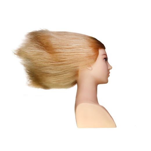 飞彩12寸金色全人发女士带肩教练头 商品图3