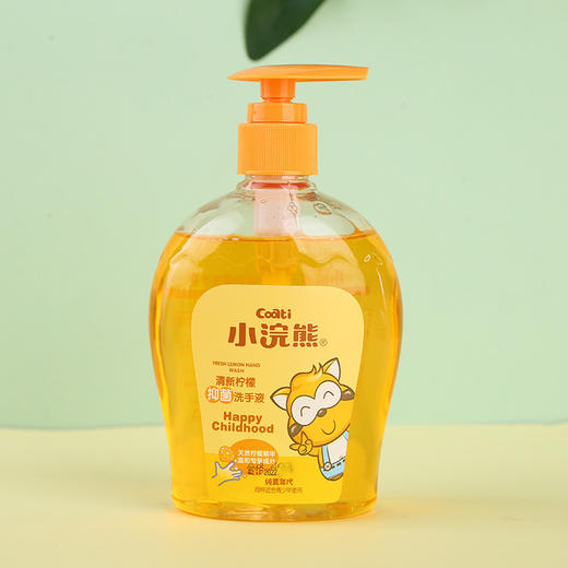 小浣熊（柠檬/芦荟）抑菌洗手液300ml 商品图2