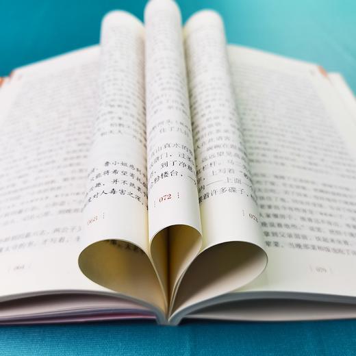 (仓发) 儒林外史 九年级下册推荐阅读 学生课外阅读指导丛书 附带阅读耐力记录表 /南方出版社/吴敬梓/9787550166424 商品图9