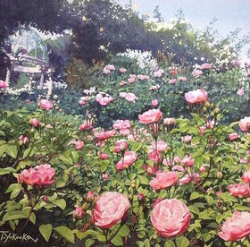 “谈恋爱别倒贴”