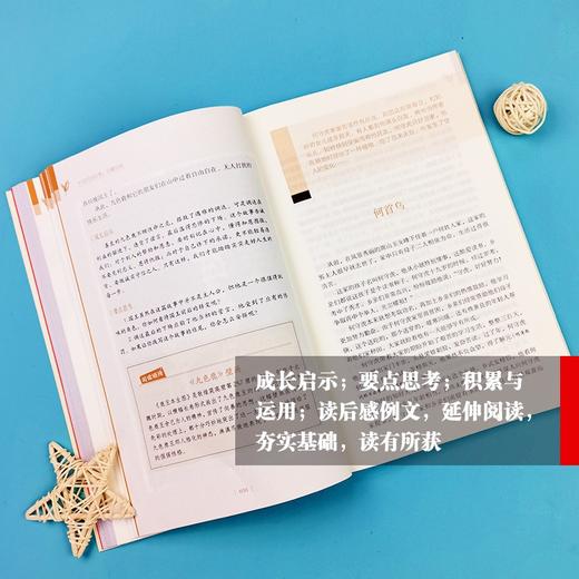 (仓发) 中国民间故事 田螺姑娘 快乐读书吧 五年级上册阅读 商务印书馆 附带阅读耐力记录表/商务印书馆/扬光/9787100186278 商品图7