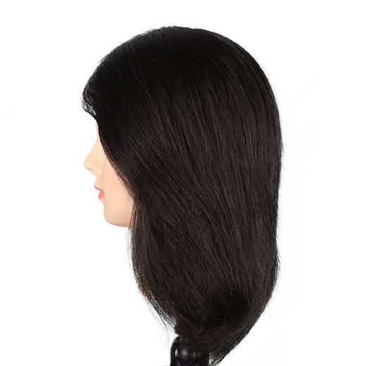 飞彩12寸黑色全人发女士教练头 商品图1