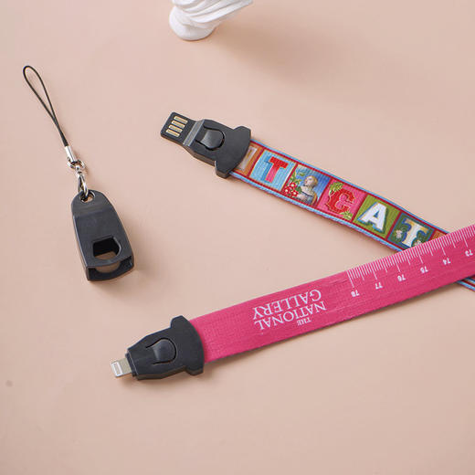 The National Gallery圣凯瑟琳尺子挂脖数据线iphone/type-c充电线礼物 商品图3