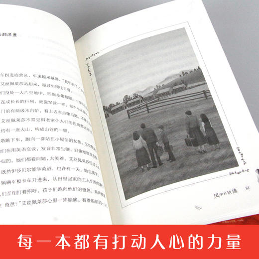 风中的玫瑰   六年级共读书正版现货速发|名师推荐|小学生课外阅读6年级课外读物 商品图2