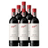 奔富Bin704 赤霞珠红葡萄酒  750ml 商品缩略图4