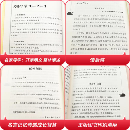 (仓发) 尼尔斯骑鹅旅行记 快乐读书吧六年级下册推荐阅读 无障碍阅读 小学生课外推荐阅读书目 有习题/南方出版社/[瑞典]塞尔玛·拉格洛夫/9787550168312 商品图7