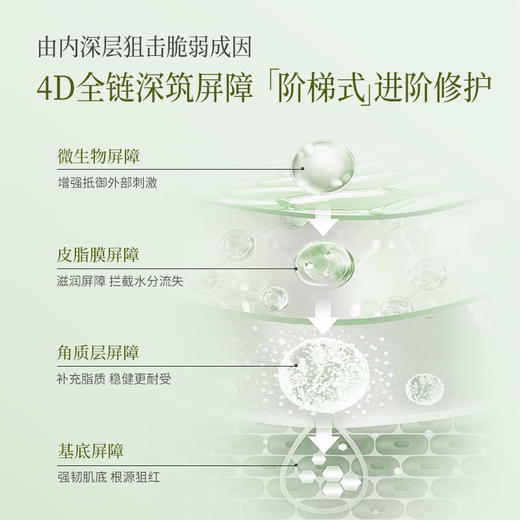 【新品上新】谷雨雪绒松露安肌修护次抛 30支/1盒 商品图3