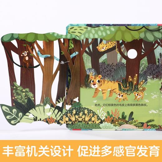 (仓发) 揭秘小世界认知篇-揭秘森林(0-2岁幼儿启蒙早教科普绘本)翻翻+洞洞设计 乐乐趣童书幼儿启蒙科普洞洞书/未来出版社/张双/9787541765339 商品图2