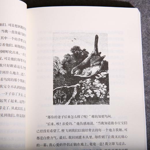 知更鸟之家（教导孩子们要尊重大自然、善待动物，学会换位思考；还告诉孩子们当遇到不同的境遇时要学会全面思考问题，明辨善恶与好坏） 商品图3