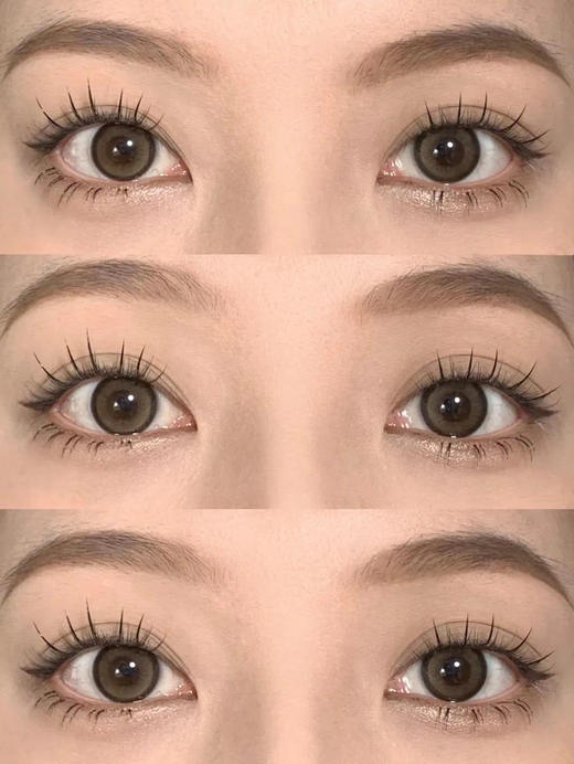 BANGCOSTAR日抛 商品图2