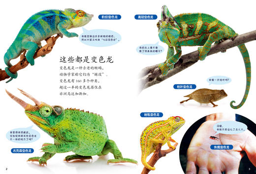 2022年《小聪仔》科普版 商品图1