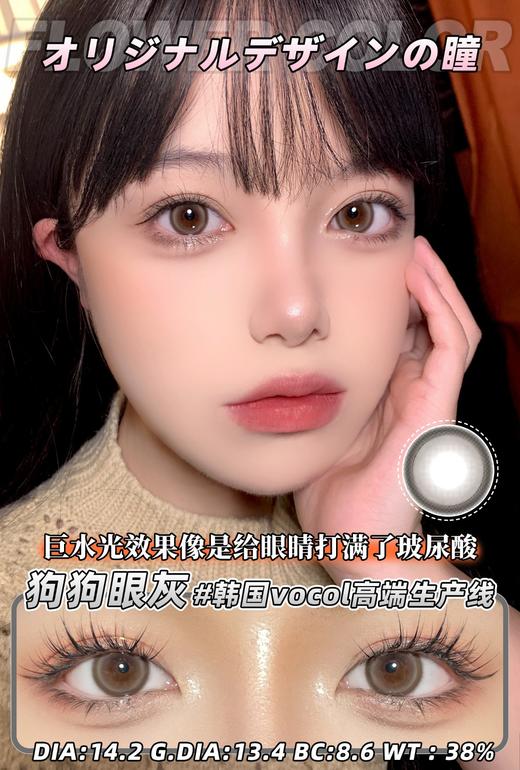 flowercolor 年抛 狗狗眼灰 直径14.2mm着色13.4mm 商品图0