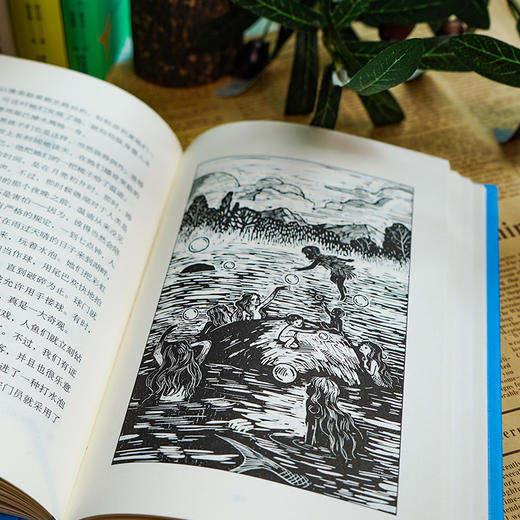 彼得·潘(110周年纪念版) 商品图1