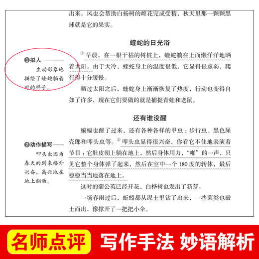 (仓发) 森林报/爱阅读儿童文学名著阅读快乐读书吧四年级下册推荐 世界动物文学经典/天地出版社/维塔利·瓦连季诺维奇·比安基/9787545558142 商品图4