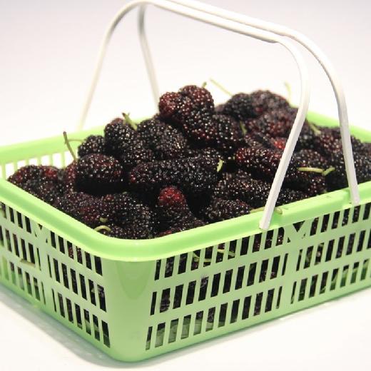 Woll森林采摘 商品图0