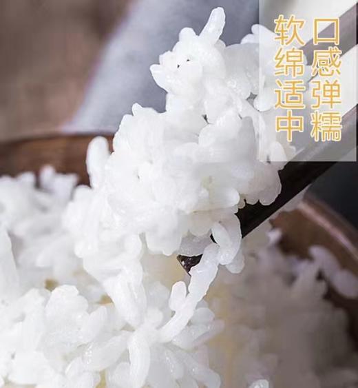 HEB五常稻花香5kg/袋 商品图2