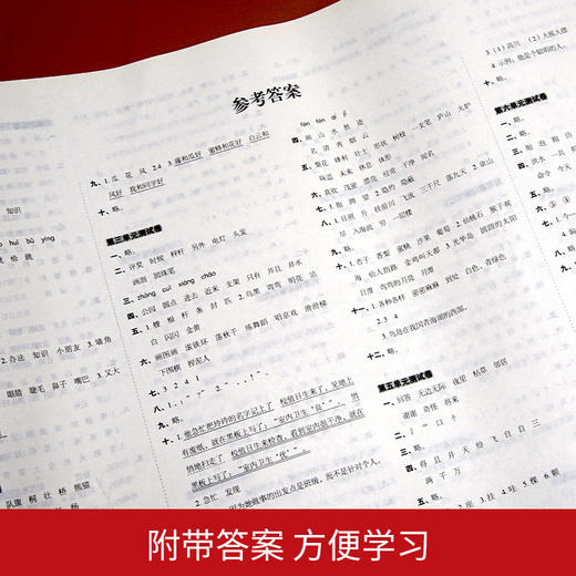 (仓发) 小学二年级语文试卷上册RJ人教版名师教你期末冲刺100分单元月考专项期中期末测试卷总复习模拟试卷密卷/湖南教育出版社/开心考试研究中心/9787553955476 商品图4
