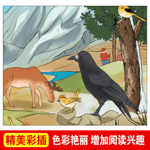 (仓发) 森林报/爱阅读儿童文学名著阅读快乐读书吧四年级下册推荐 世界动物文学经典/天地出版社/维塔利·瓦连季诺维奇·比安基/9787545558142 商品图5